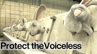 Bright Eyes End Cosmetics Testing on Animals NOW [upl. by Bern]