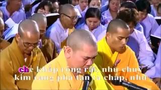 Tụng Kinh Vô Lượng Thọ  HT Thích Trí Thoát [upl. by Netsua]