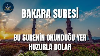 BAKARA SURESİ  OKUNDUĞU YER HUZUR DOLAR  Kuran Dinle [upl. by Amorete]