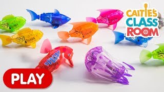 Learn Colors with Amazing Robot Fish  Caities Classroom [upl. by Elvis579]