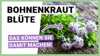 Bohnenkraut Blüte Alles was Sie damit machen können [upl. by Nele]