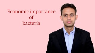 Economic importance of bacteria neetbiology [upl. by Bellis626]