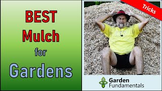 Best Mulch for Ornamental Gardens ♨️🌈🌎 Learn to mulch correctly and grow better plants [upl. by Onirefez310]