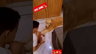 A cat amp dog song🐕‍🦺😘 dogsongs petlover petdogs shorts ytshorts trending viral reels tiktok [upl. by Comptom840]