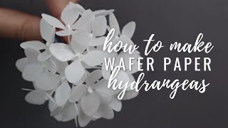 Wafer Paper Hydrangeas for cake decorating  Filler flower tutorial [upl. by Silloc]