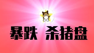 中国股市暴跌，这就是杀猪骗局！为什么普通股民必然输！会有第二波行情吗？习近平到底有没有大规模刺激的决心？ [upl. by Idur]