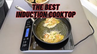 The Best Induction Cooktop  Duxtop 9600LS  BT200DZ Reviewed [upl. by Esirtal444]