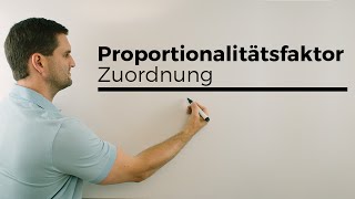 Proportionalitätsfaktor Proportionalität Zuordnungen Mathe by Daniel Jung [upl. by Ecinad]