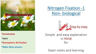 Non biological Nitrogen fixation [upl. by Aurea]