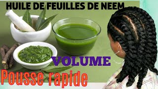 🍇124 HUILE DE FEUILLES DE NEEM anti pelliculaire volumineux pousse rapide COMMENT RÉALISER [upl. by Etolas]