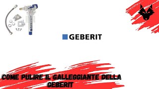 Come pulire la campana della Geberit 🚽 [upl. by Velda]