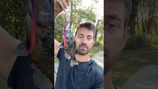 Fishing at the Monee Reservoir in Illinois 🎣 fishing fishinglife fishingvideo [upl. by Fredia]