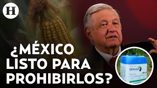 ¿Qué es el glifosato y por qué AMLO lo vetó junto al maíz transgénico Ideología o ciencia [upl. by Luamaj]