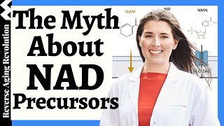 5 NAD Precursors  Which ONE Is MOST Effective amp WHY Lead NAD Scientist Dr Nichola Conlon Explains [upl. by Berners235]