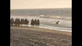 97th Annual Pony Swim amp Auction Beach Walk  July 25 2022 [upl. by Anoel208]