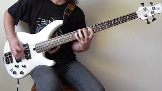 Warriors Of The World  Manowar bass cover [upl. by Notnert]