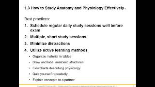 How to Study AampP 1 [upl. by Delacourt]