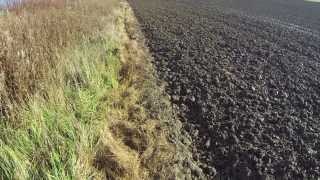 Walked Up  Rough Pheasant Shooting with Spaniels [upl. by Adamek]