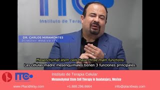 Mesenchymal Stem Cell Therapy in Guadalajara Mexico by Instituto de Terapia Celular [upl. by Sybille]