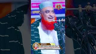 বজলুর রশিদের জিবনী বজলুররশিদেরওয়াজ unfrezzmyaccount bmrislamictv banglawaz [upl. by Nerat]