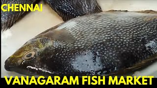 Chennai Vanagaram Fish Market  Part 03 [upl. by Alih614]