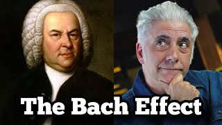 The Bach Effect What the GREATS Hear That You Don’t [upl. by Lemon]