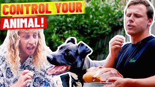 Lifeguards Try To Train A Dog How To Do Sht with Jeff amp Joel [upl. by Arundel736]