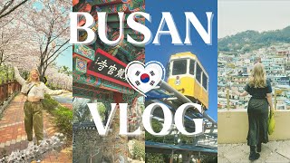 Busan Vlog  Cherry Blossom Haeundae Beach Railway Gamcheon Culture Village 🇰🇷🌸 [upl. by Carolin256]