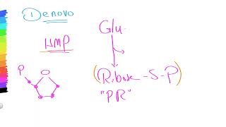 01 Purine metabolism 01 [upl. by Yrolg657]