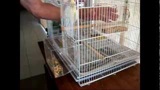 Tidy Seed NoMess Bird Feeder Full Demonstration [upl. by Frazier]