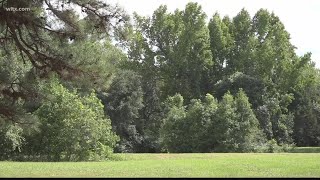 South Carolina State awarded 5M to create green spaces [upl. by Attennot188]