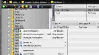 MediaMonkey  Der ultimative Musikmanager [upl. by Ylrebme315]