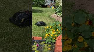 Techline S6  Die Zukunft der Gartenpflege [upl. by Norabal]