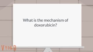 What is the mechanism of doxorubicin [upl. by Ivz]