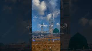 maula ya salli wa sallim maula ya salli naat  naat sharif youtubeshorts ytshorts viral [upl. by Nylleoj]