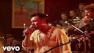 Jimmy Barnes  Flame Trees  Live amp Acoustic from Flesh And Wood [upl. by Hnil]