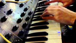 AV JAM  With MORUSQUE  KORG MS10 [upl. by Anerahs990]