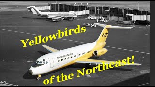 Less than 5 minute History of the AeroClassics Northeast Douglas DC915 in Yellowbird Livery [upl. by Hafler]