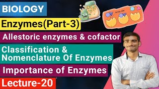 Biology Lecture20 Enzymespart3Allestoric enzyme Classificationnomenclature amp Importance [upl. by Calvano754]