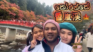 2024年香嵐渓ハイキングකෝරන්කේ香嵐渓🍁සරත් සෘතුවේ ලස්සනම දවස korankei Toyota Aichi autumn japan🇯🇵 [upl. by Ysdnyl323]