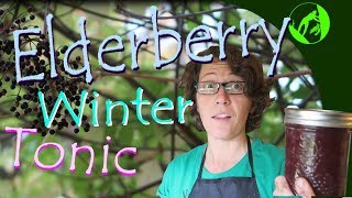 How to Make Antiviral ElderberryTonic [upl. by Bea]