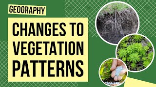 Changes to Natural Vegetation Patterns  Geography Lesson [upl. by Francesca]