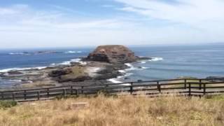 Breathtaking scenery in Australia  The Nobbies Seal Rocks at Phillip Island [upl. by Suidualc628]