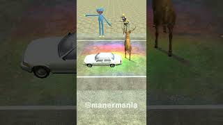 animal crossing the road challenged 길건너친구들 zoonomaly accident crossing animal 동물 friend [upl. by Tallou115]