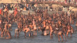 Best of Allahabad Kumbh mela  Worlds largest religious gathering [upl. by Aissirac800]