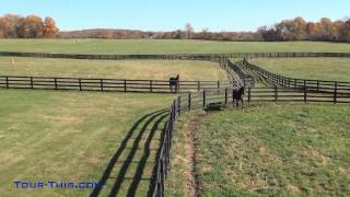 Peretti Farms Yearling Farm Cream Ridge New Jersey 08514 [upl. by Rebak]