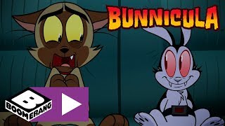 Bunnicula  Spooky Road Trip  Boomerang UK 🇬🇧 [upl. by Ynnav]