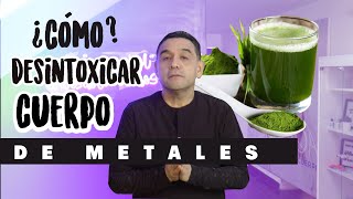 😎 Como eliminar los Metales pesados del Cuerpo Chlorella  Formas de Desintoxicar el Cuerpo [upl. by Geis23]