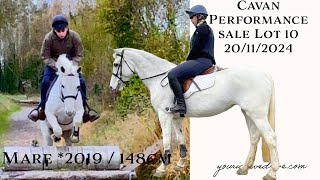 Gorgeously snow white pony 148cm mare 2019 Cavan November sales lot no 10 [upl. by Eegnat387]