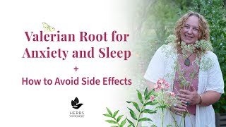 Valerian Root for Anxiety and Sleep  Avoid Valerian Root Side Effects [upl. by Lac922]